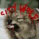 The CityWolf